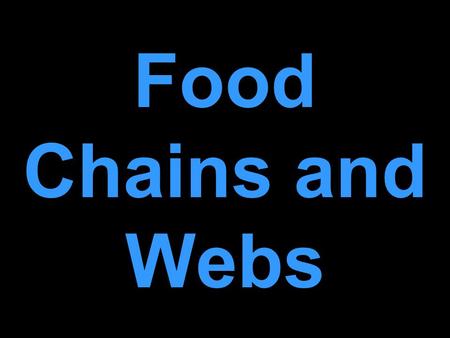 Another Link in the Food Chain Everyone plays a specific role in the food chain of life. You might be a human thinking they are king of the hill.