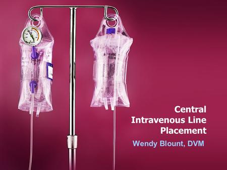 Central Intravenous Line Placement