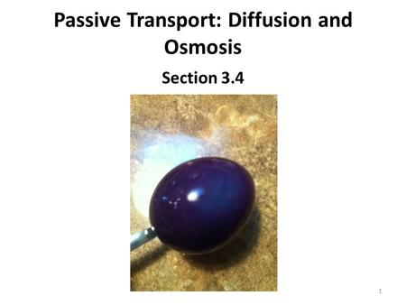 Passive Transport: Diffusion and Osmosis