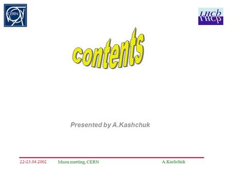 A.Kashchuk Muon meeting, CERN 22-23.04.2002 Presented by A.Kashchuk.