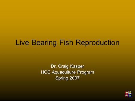 Live Bearing Fish Reproduction