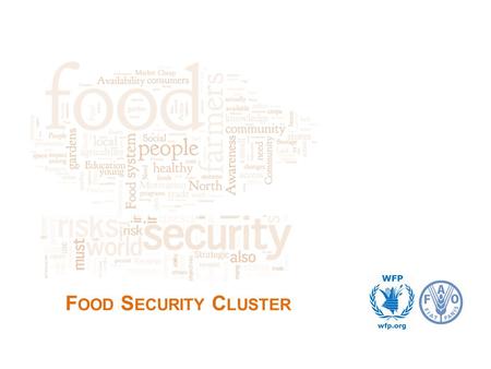 F OOD S ECURITY C LUSTER. 1.Objectives 2.Cluster Background 3.Coordinator and IMO 4.Country-level architectures 2 F OOD S ECURITY C LUSTER - I NTRODUCTION.