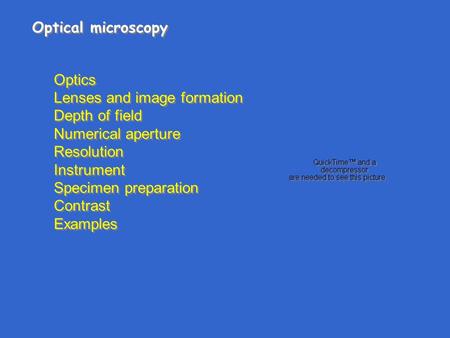 Optical microscopy Optics Lenses and image formation Depth of field Numerical aperture Resolution Instrument Specimen preparation Contrast Examples Optics.