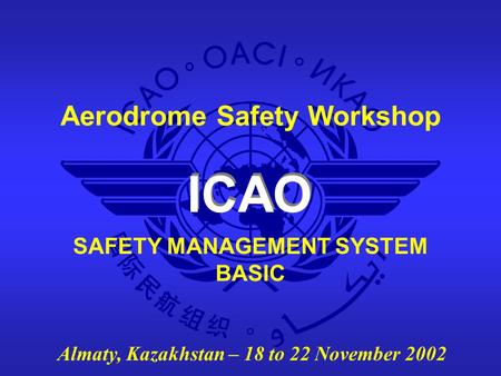 SAFETY MANAGEMENT SYSTEM BASIC