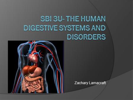 SBI 3U- The Human Digestive Systems and Disorders