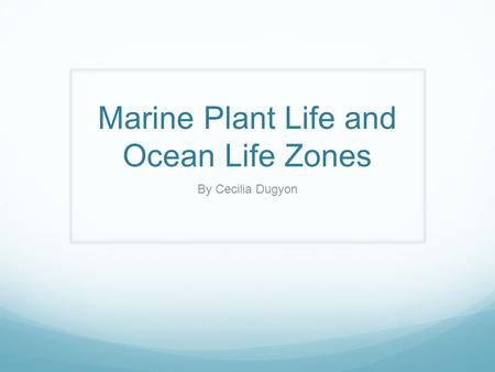 Marine Plant Life and Ocean Life Zones