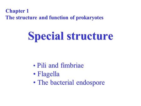 Pili and fimbriae Flagella The bacterial endospore