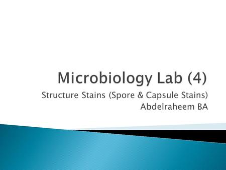 Structure Stains (Spore & Capsule Stains) Abdelraheem BA.