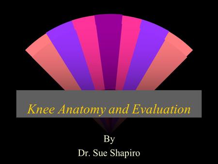 Knee Anatomy and Evaluation