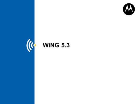 WiNG 5.3.