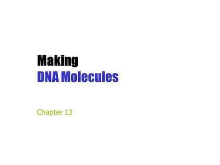 Making DNA Molecules Chapter 13.