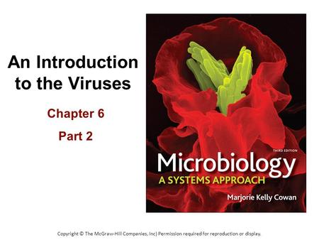 An Introduction to the Viruses