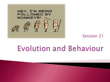 Session 21.  Presentations due for Fridays session  Needs to include a mind map/plan of a model exam response  5% deduction for late submissions.