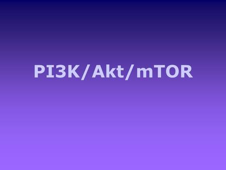 PI3K/Akt/mTOR.