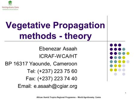 African Humid Tropics Regional Programme – World Agroforestry Centre 1 Vegetative Propagation methods - theory Ebenezar Asaah ICRAF-WCA/HT BP 16317 Yaounde,