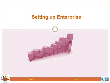 Setting up Enterprise NextEnd. Introduction Setting of an enterprise is a complex process. Various institutions and organizations are providing training.