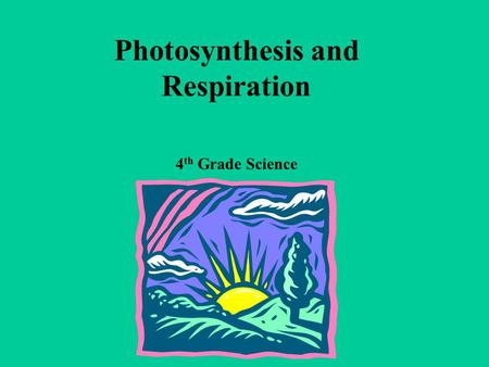 Photosynthesis and Respiration