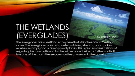 THE WETLANDS (EVERGLADES) BY JOHN CHIPP The everglades are a wetland ecosystem that stretches across 2 million acres. The everglades are a vast system.