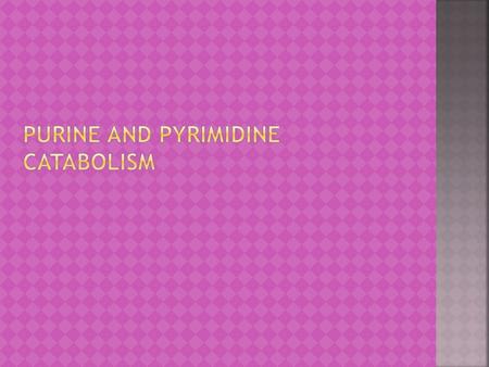  From normal turnover of cellular nucleic acids  Obtained from the diet  Reutilization of adenine, hypoxanthine, and guanine  Two enzymes: 1.