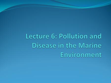 Pollutants in the Ocean Sewage Stormwater runoff Oil/petroleum products Industrial pollutants & metals (includes mercury and lead) Persistent Organic.