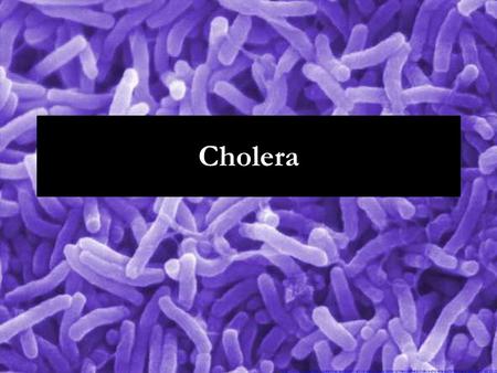 Cholera