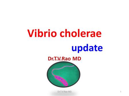 Vibrio cholerae update