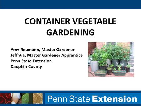 Container Vegetable Gardening