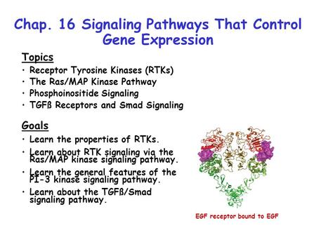 Chap. 16 Signaling Pathways That Control Gene Expression