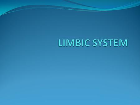 LIMBIC SYSTEM.