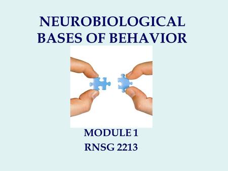 NEUROBIOLOGICAL BASES OF BEHAVIOR MODULE 1 RNSG 2213.