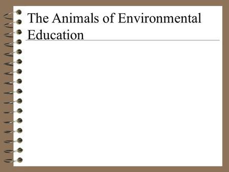 The Animals of Environmental Education Great Horned Owl Bubo virginanius “Aldo” is 28 yrs. Old, imprinted male life expectancy over 40 years in capivity.