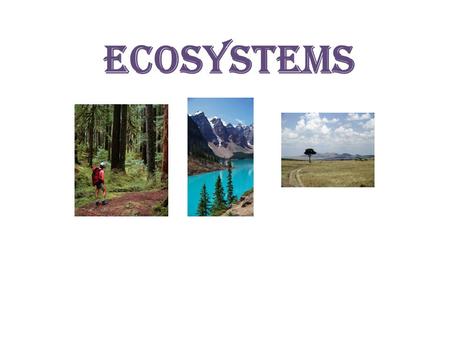 Ecosystems.