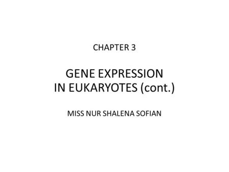 CHAPTER 3 GENE EXPRESSION IN EUKARYOTES (cont.) MISS NUR SHALENA SOFIAN.