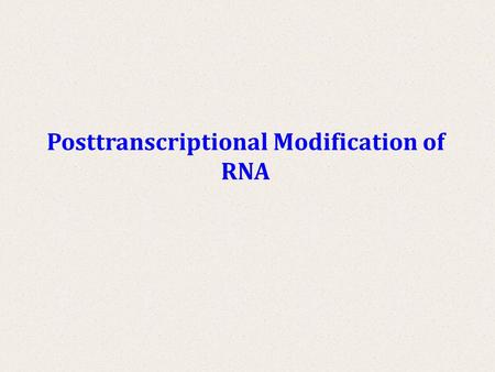 Posttranscriptional Modification of RNA