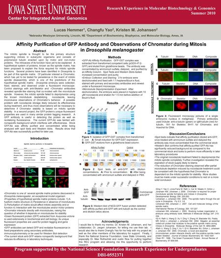 Center for Integrated Animal Genomics Research Experience in Molecular Biotechnology & Genomics Summer 2010 Lucas Hemmer 1, Changfu Yao 2, Kristen M. Johansen.