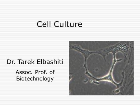 Assoc. Prof. of Biotechnology