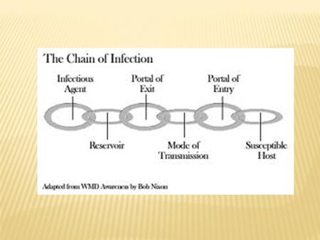 Immune System 14-1 STD rates by age. Figure 14.1 Copyright © The McGraw-Hill Companies, Inc. Permission required for reproduction or display. STD.