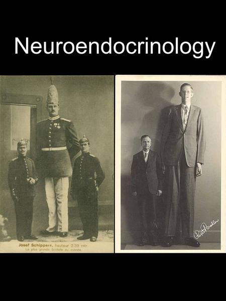 Neuroendocrinology. Hormones Endocrine hormones Secreted directly into the blood Controlled by pituitary (master gland) and hypothalamus Exocrine Hormones.