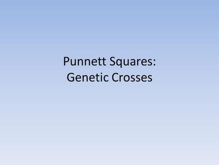 Punnett Squares: Genetic Crosses