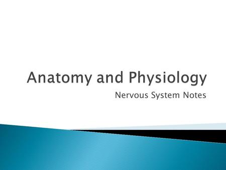 Anatomy and Physiology