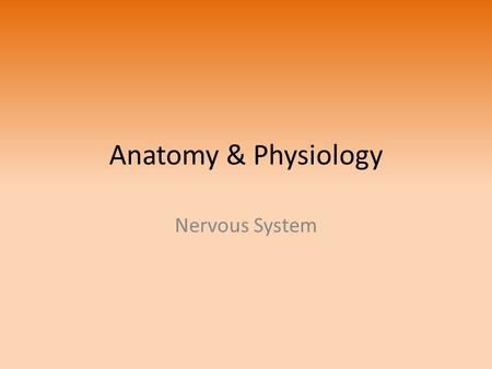 Anatomy & Physiology Nervous System.