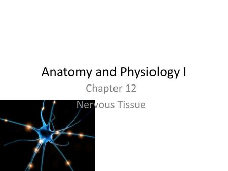 Anatomy and Physiology I