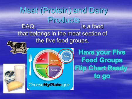 Meat (Protein) and Dairy Products EAQ: _____________ is a food that belongs in the meat section of the five food groups.