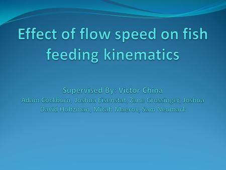 Introduction: How do planktivorous fish feed Fish feed by using suction. They rapidly increase the volume of their oral cavity creating an area of low.