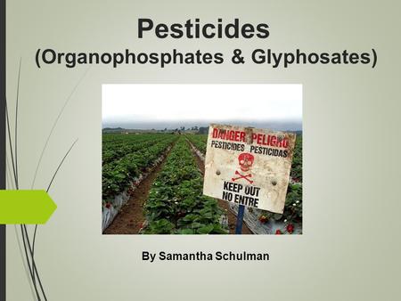 Pesticides (Organophosphates & Glyphosates) By Samantha Schulman.