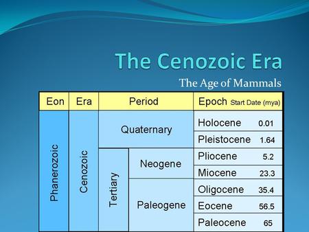 The Cenozoic Era The Age of Mammals.