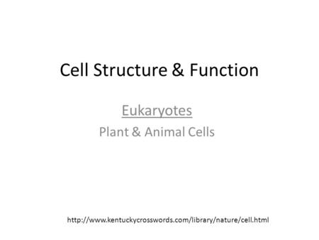 Cell Structure & Function Eukaryotes Plant & Animal Cells