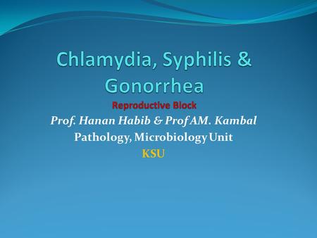 Chlamydia, Syphilis & Gonorrhea Reproductive Block