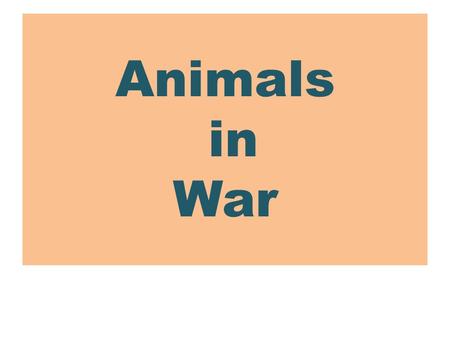 Animals in War. In 1917, a stray puppy wandered onto the Yale University campus where the Infantry Regiment were training. Private J. Robert Conroy adopted.