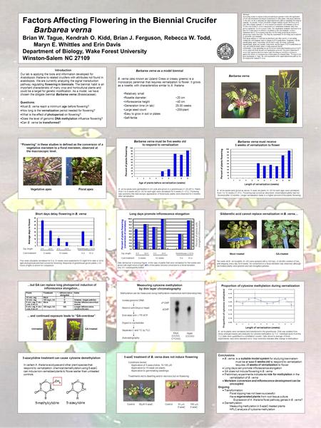 Factors Affecting Flowering in the Biennial Crucifer Barbarea verna Brian W. Tague, Kendrah O. Kidd, Brian J. Ferguson, Rebecca W. Todd, Maryn E. Whittles.